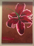 " STARE " / STARLILY ORIGINAL