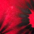 STARBURST PINK ABSTRACT